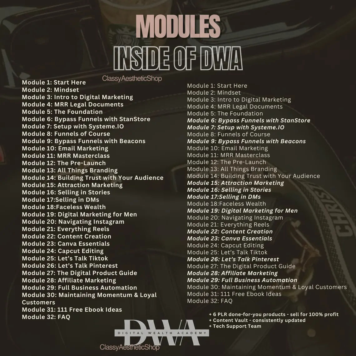 Digital Wealth Academy - Full course w/ Master Resell Rights