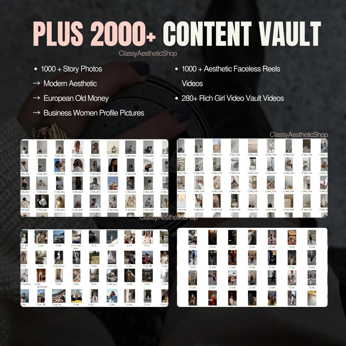 Digital Wealth Academy - Full course w/ Master Resell Rights